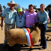 Image of Finley Show