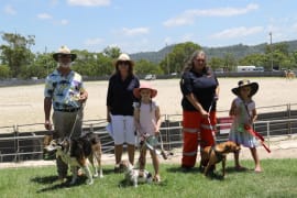 Image of Stanthorpe Agricultural Show