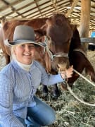 Image of Springsure Show