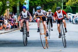 Image of Evandale Village Fair & National Penny Farthing Championships