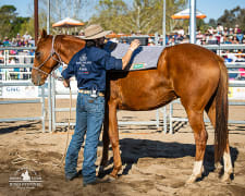 Image of The Man From Snowy River Festival, Corryong