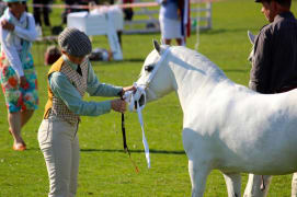 Image of Wangaratta Show