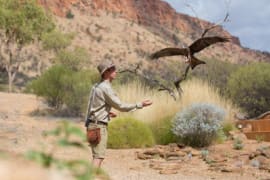 Image of DESERT PARK ALICE SPRINGS