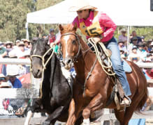 Image of The Man From Snowy River Festival, Corryong