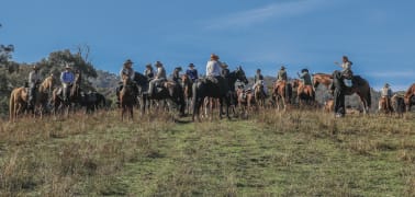 Image of The Man From Snowy River Festival, Corryong