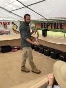 Image of Killarney Show