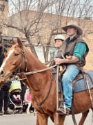 Image of Annual Australian Kelpie Muster 