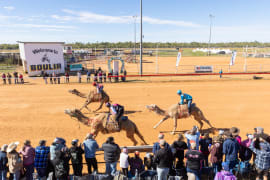 Image of Boulia Camel Races