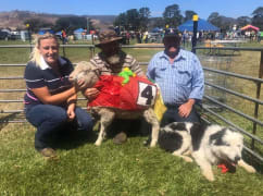 Image of Kempton Festival