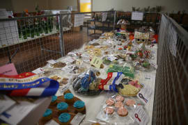 Image of Callington Show