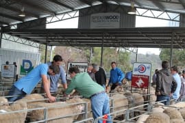 Image of Williams Gateway Expo