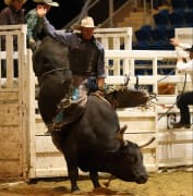 Image of Beenleigh Show