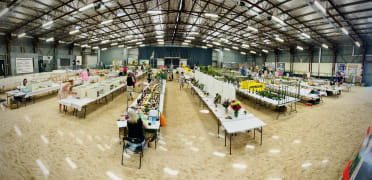 Image of Tanunda Show