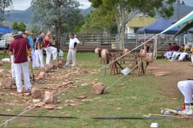 Image of Killarney Show