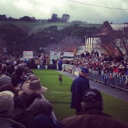 Image of Annual Australian Kelpie Muster 
