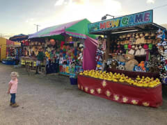 Image of Killarney Show