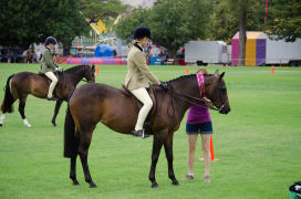 Image of Tanunda Show