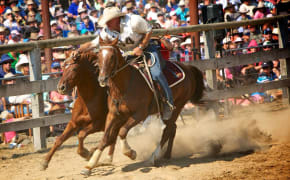 Image of The Man From Snowy River Festival, Corryong
