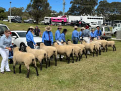 Image of Beenleigh Show