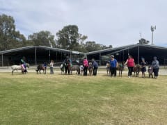 Image of Echuca and Moama Show