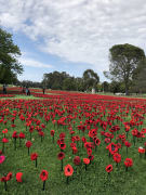 Image of Australian War Memorial 