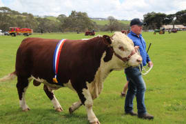 Image of Coleraine Show 