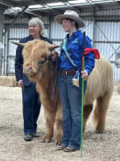 Image of Yarram show