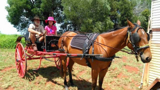 Image of Proston Agricultural Show