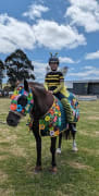 Image of Coleraine Show 