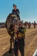 Image of Boulia Camel Races