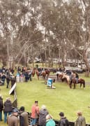 Image of Annual Australian Kelpie Muster 
