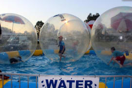 Image of Wangaratta Show