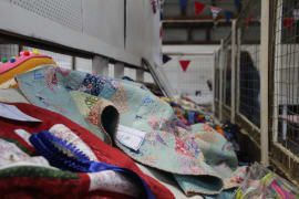 Image of Coleraine Show 