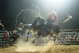 Image of Beenleigh Show