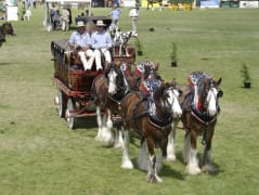 Image of Whittlesea Show