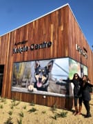 Image of Annual Australian Kelpie Muster 