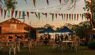 Image of Barunga Festival 