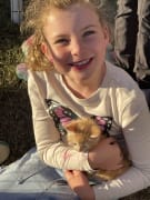 Image of Springsure Show