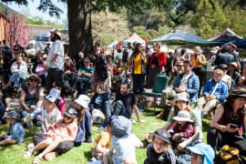 Image of The River Folk Festival