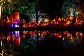 Image of Woodford Folk Festival
