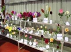 Image of Daylesford Show