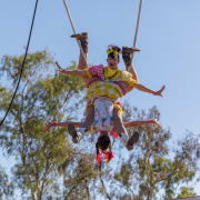 Image of Boulia Camel Races