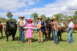 Image of Proston Agricultural Show