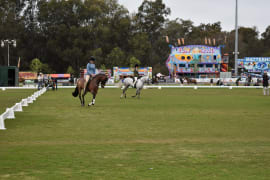 Image of Wangaratta Show