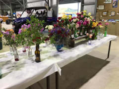 Image of Killarney Show