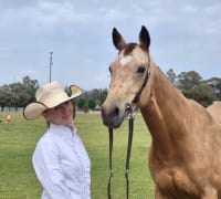 Image of Barham Koondrook Show