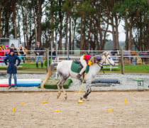 Image of AgFest Field Days