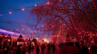Image of Dark Mofo Festival