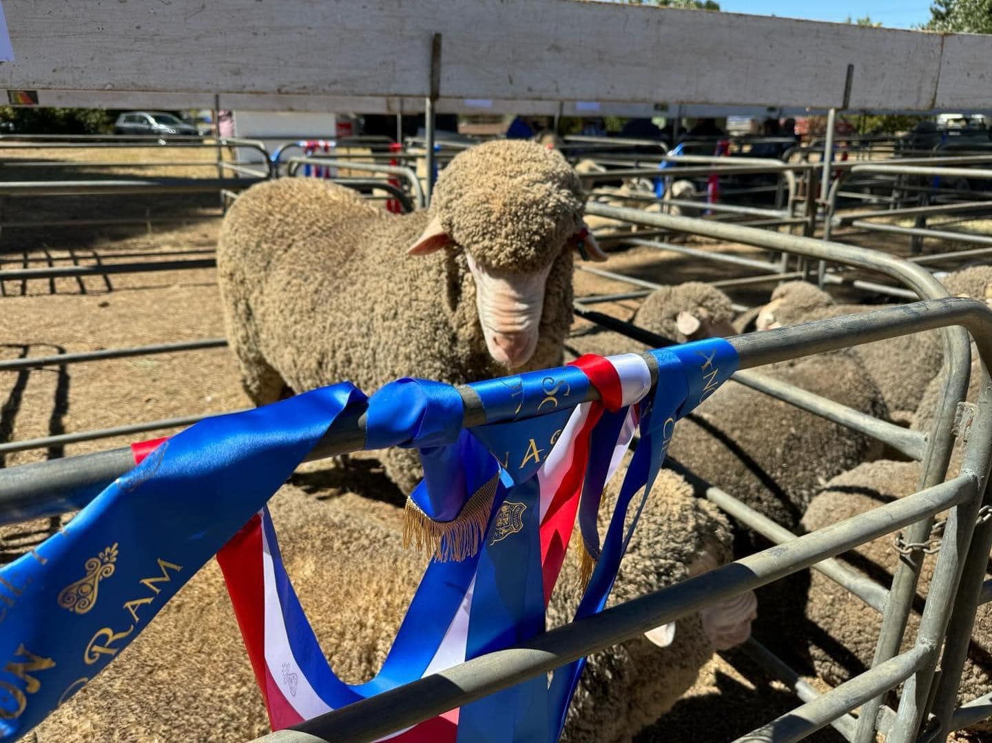 Angaston Show · EdgeGuides