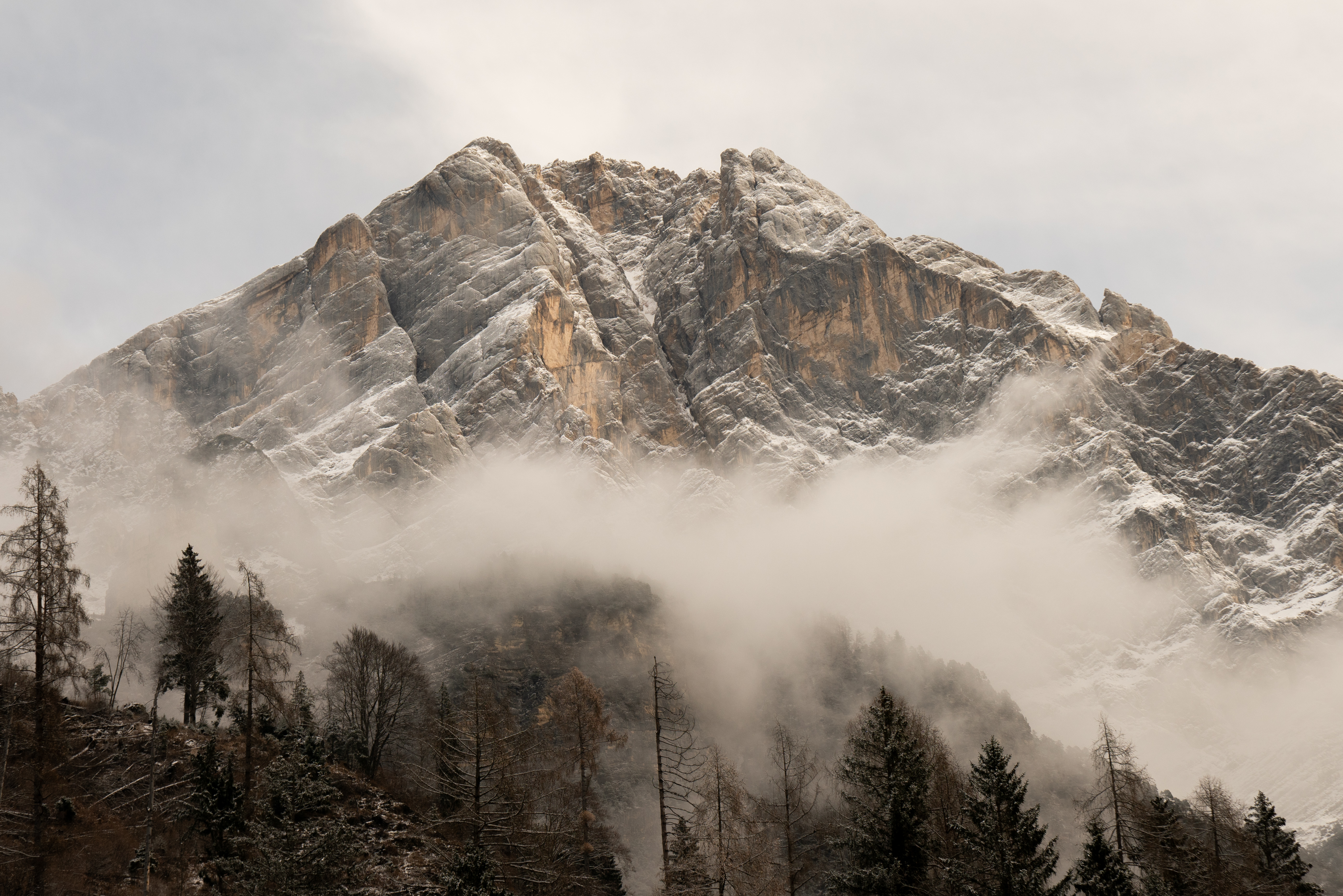 The Living Mountain